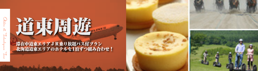 【東京発】帯広・十勝川へ飛行機(JAL)で行く格安ツアー