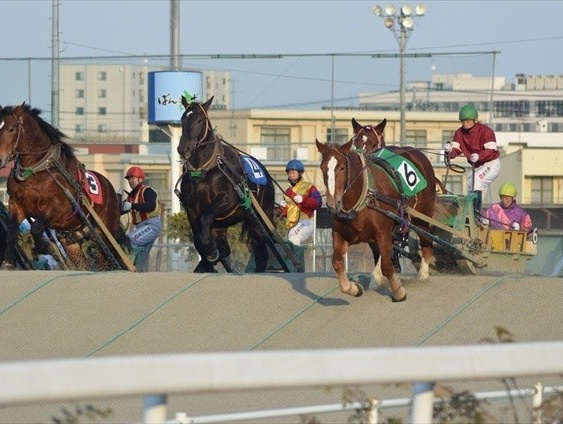 帯広格安ツアー 帯広行き格安パックツアー特集
