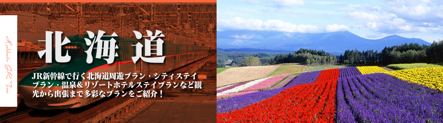 北海道格安旅行情報《北海道行き格安パックツアー特集