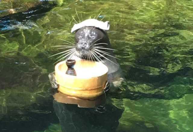 箱根園水族館