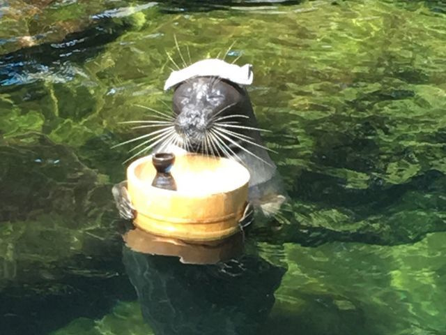 箱根園水族館