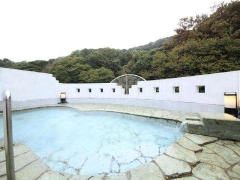 下田ベイクロシオ：庭園風呂