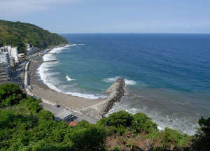 熱川温泉 粋光