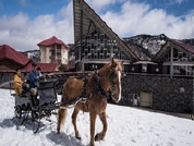 奥志賀高原ホテル