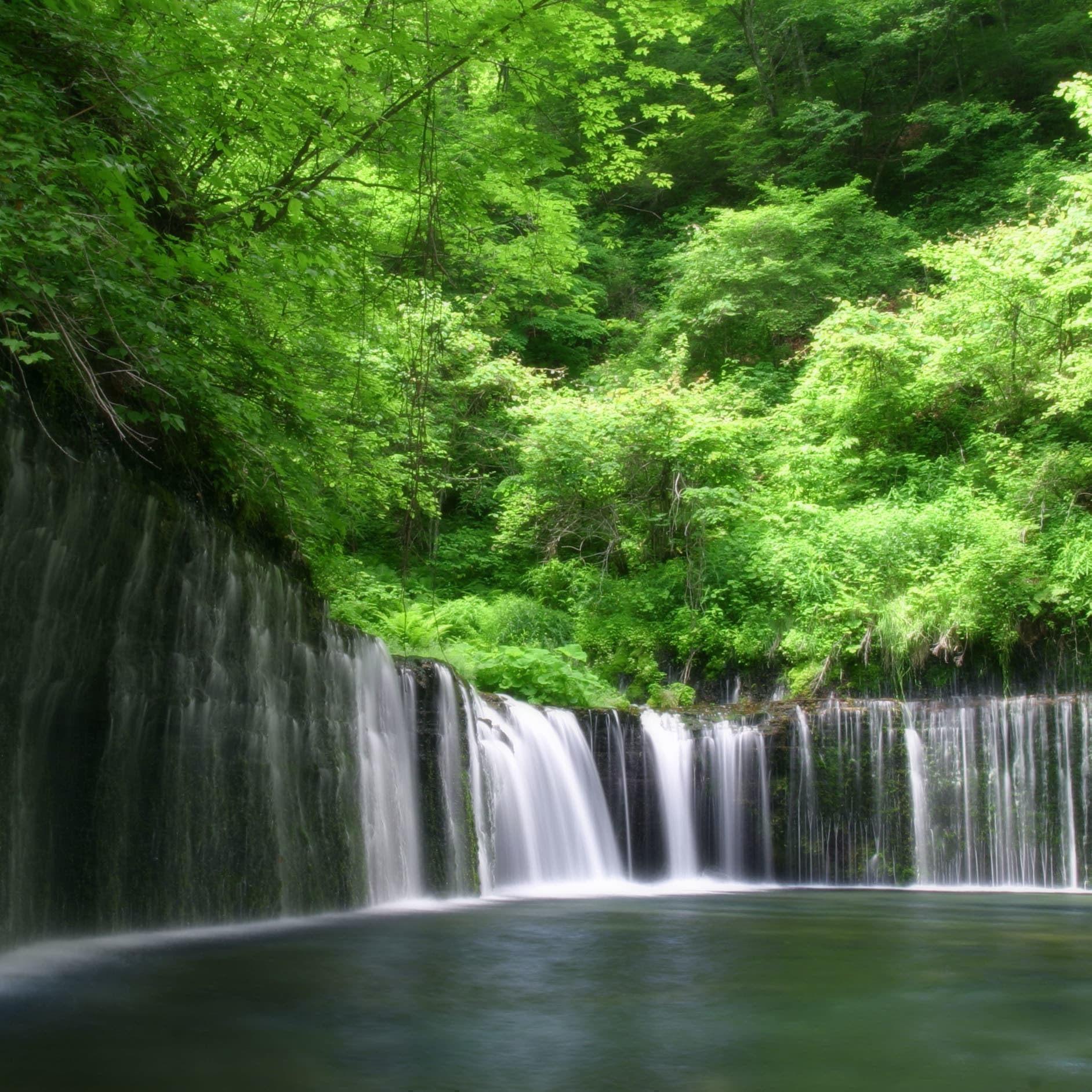 軽井沢格安ツアー情報