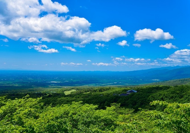 那須格安ツアー情報