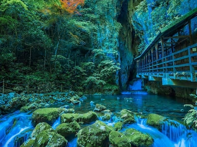 山口・下関格安ツアー 山口・下関行き格安パックツアー特集