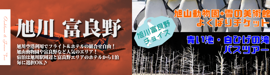 【東京発】旭川・富良野へ飛行機(ANA)で行く格安ツアー