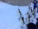 旭山動物園