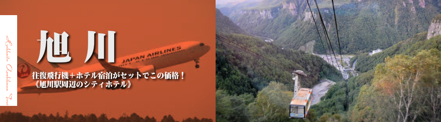 【東京発】旭川へ飛行機(JAL)で行く格安ツアー