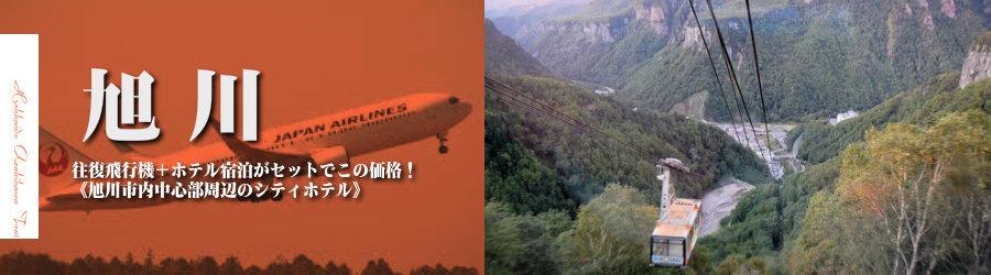 【東京発】旭川へ飛行機(JAL)で行く格安ツアー