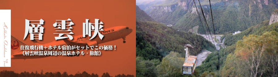【東京発】旭川へ飛行機(JAL)で行く格安ツアー