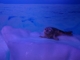 オホーツク流氷館