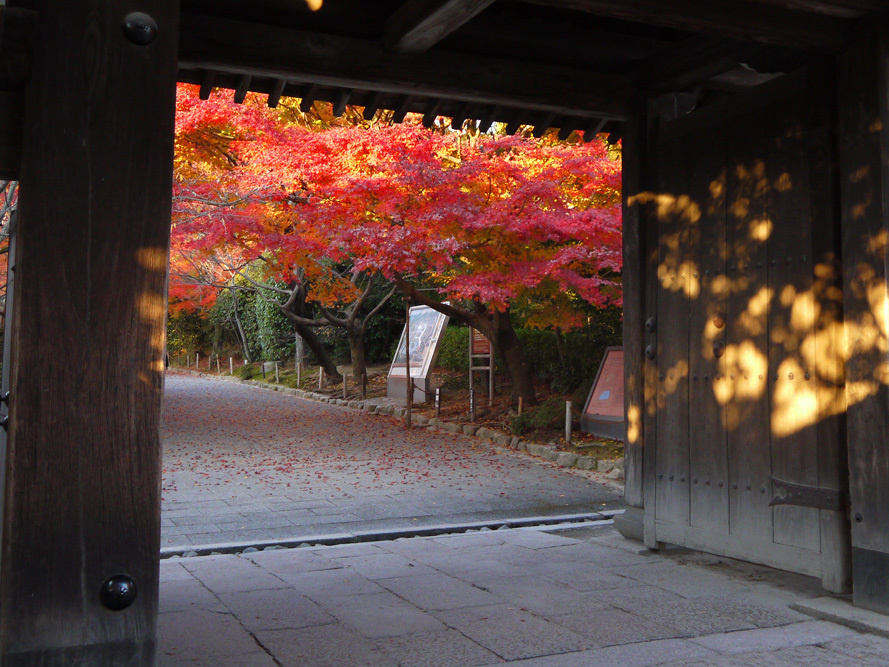 京都市内のおすすめ観光スポットと周辺ホテル情報