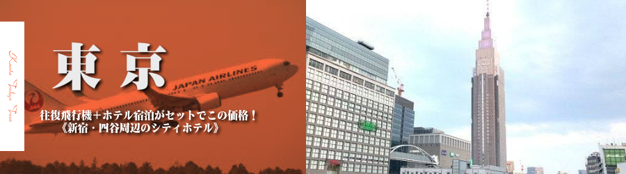 東京へ飛行機(JAL)で行く格安ツアー