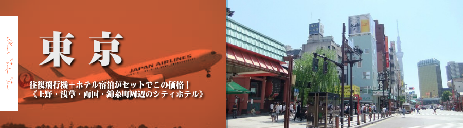 東京へ飛行機(JAL)で行く格安ツアー