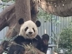 上野動物園
