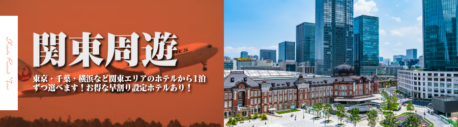東京・千葉・横浜各地へ飛行機(JAL)で行く格安ツアー