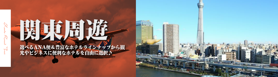 東京・横浜・千葉各地へ飛行機(ANA)で行く格安ツアー