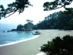 桂浜