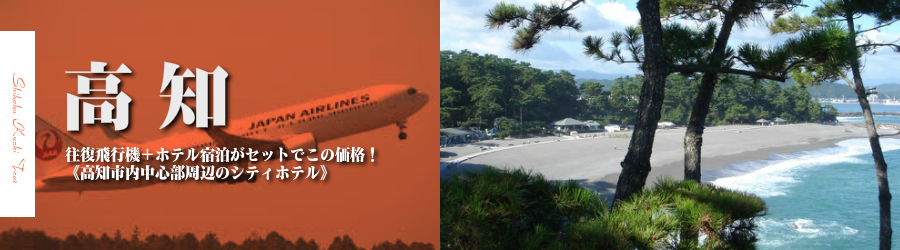 【東京発】高知へ飛行機(JAL)で行く格安ツアー