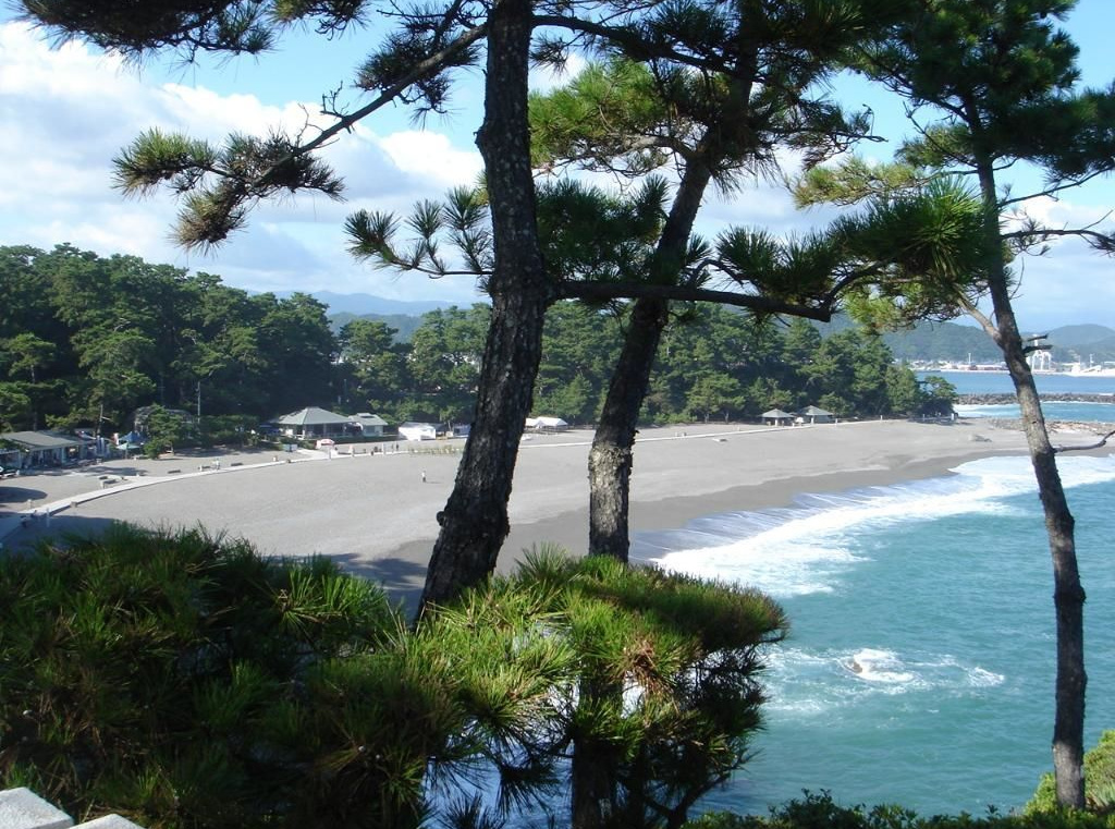 桂浜