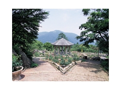強羅公園