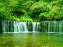 白糸の滝