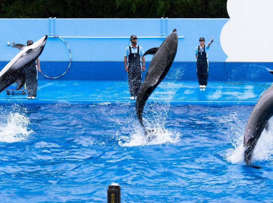 マリンピア日本海