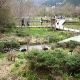 箱根湿生花園