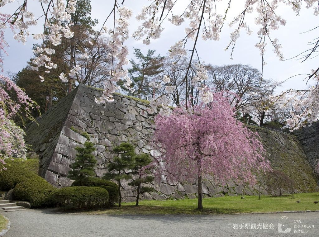 盛岡城跡公園（岩手公園）