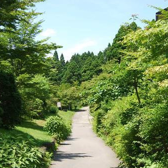 箱根やすらぎの森