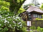 庭園