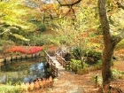 庭園
