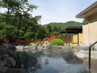 箱根高原ホテル(露天風呂)