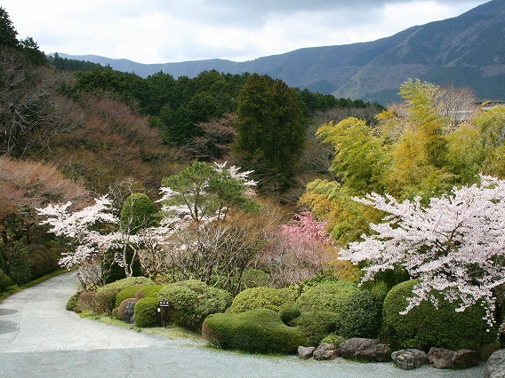 庭園