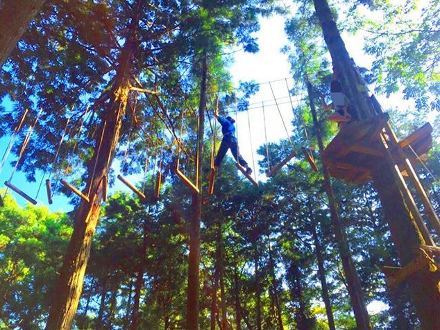 フォレストアドベンチャー・箱根