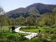 箱根湿生花園