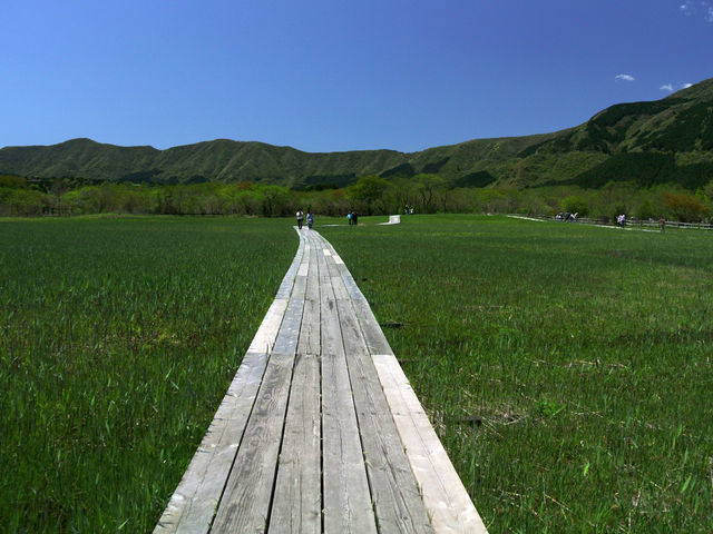 箱根湿生花園 箱根 仙石原周辺 アクセス情報 施設情報 格安宿泊情報 往復交通 宿泊セットプラン 箱根湿生花園 箱根 仙石原周辺 アクセス情報 施設情報 格安宿泊情報 往復交通 宿泊セットプラン