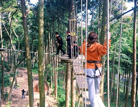 フォレストアドベンチャー 箱根 箱根 湯本周辺 アクセス情報 施設情報 格安宿泊情報 往復交通 宿泊セットプラン フォレストアドベンチャー 箱根 箱根 湯本周辺 アクセス情報 施設情報 格安宿泊情報 往復交通 宿泊セットプラン