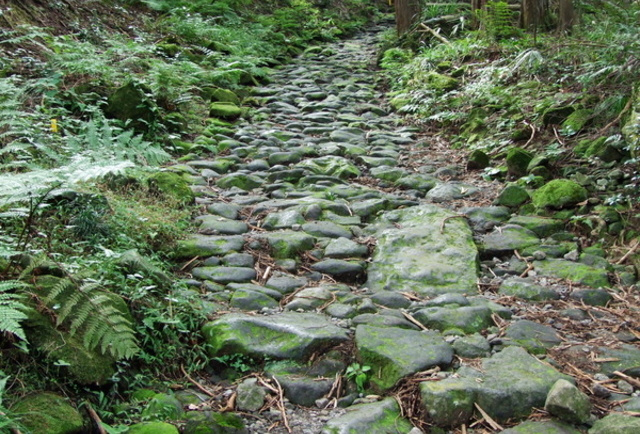 箱根旧街道杉並木