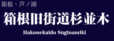 箱根旧街道杉並木