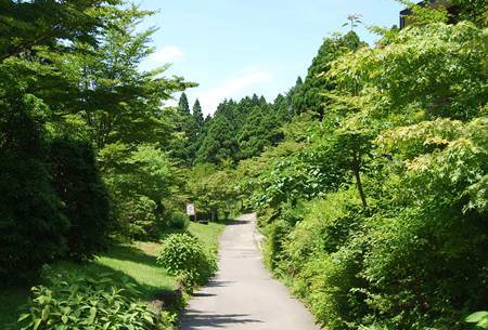 箱根やすらぎの森