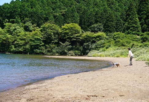 箱根やすらぎの森
