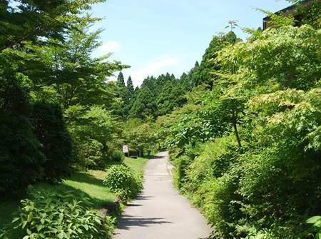 箱根やすらぎの森