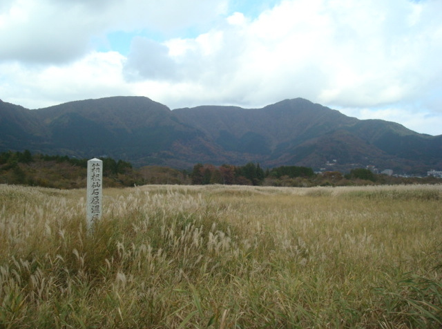 仙石原湿原植物群落