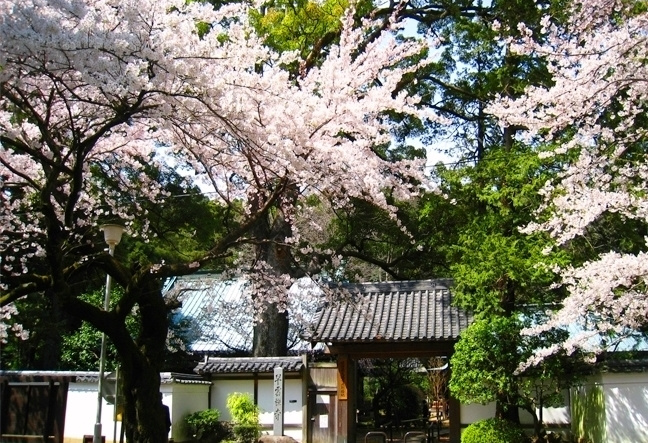 早雲寺