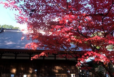 早雲寺