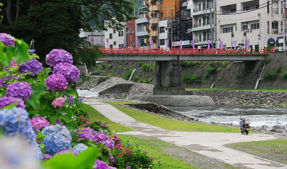 箱根湯本・あじさい橋