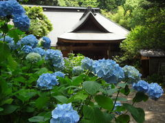 阿弥陀寺